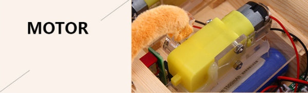 Boring Wooden Box Useless Machine Little Tiger Reaches For Gadgets Gifts Children'S Toys